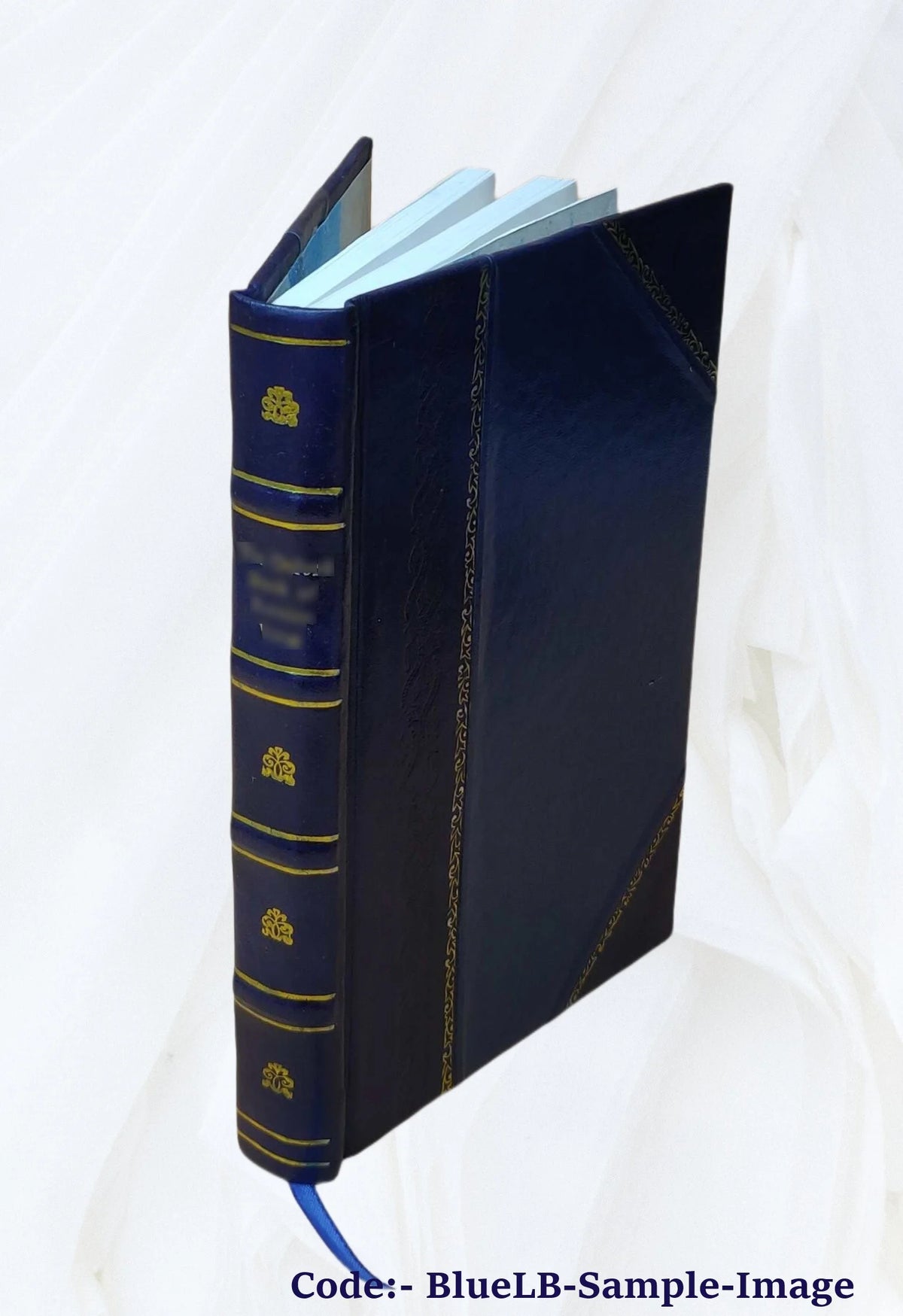 Leather Bound Book D387541