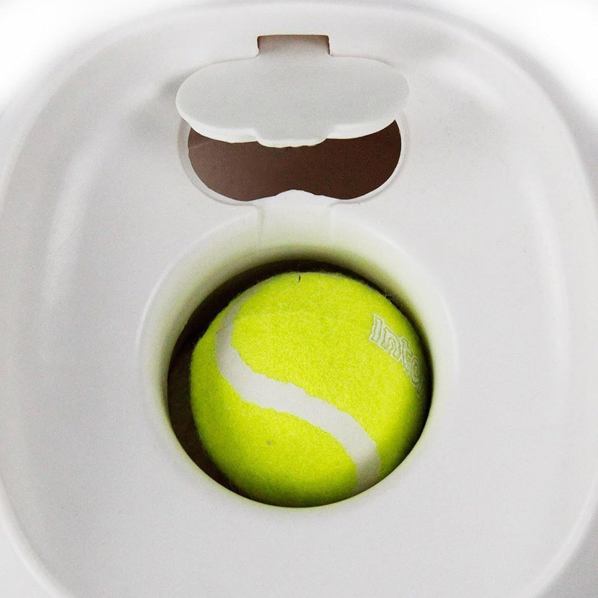 Interactive Slow Feeding Dog Toy K534321