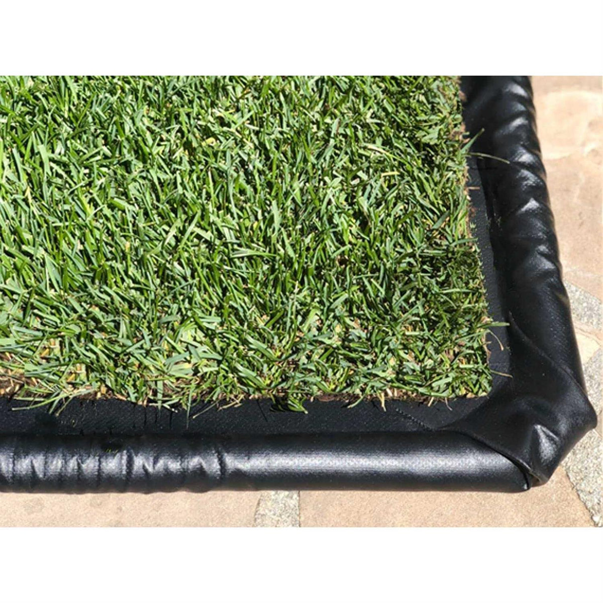 Dog Potty Real Grass P122030