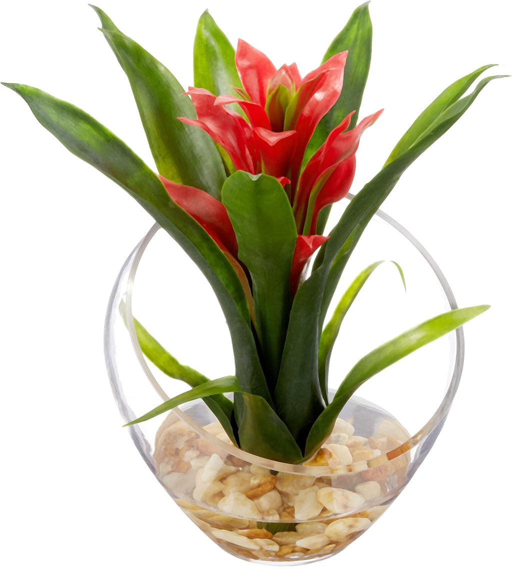 Tropical Bromeliad in Angled Vase, Red U1128
