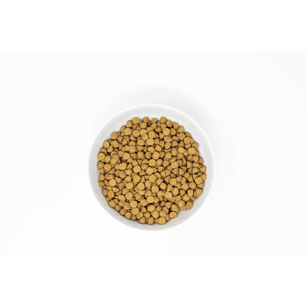 Raw Coated Kibble Dog Food A189148