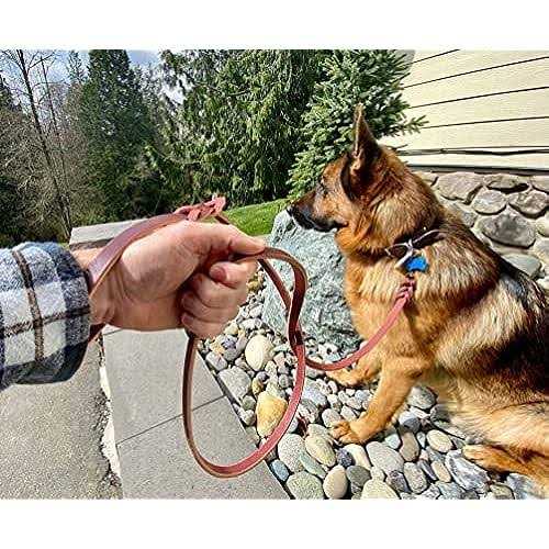 6 FT Braided Leather Dog Leash C525715