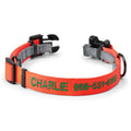 Personalized Flea and Tick Collar X457119