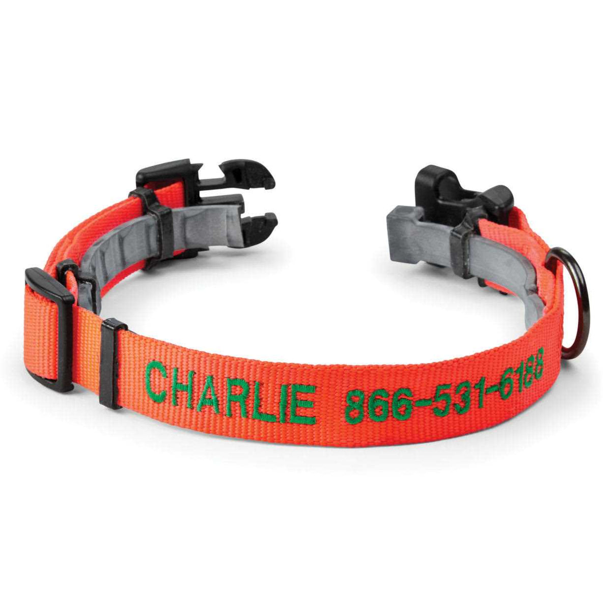 Personalized Flea and Tick Collar X457119