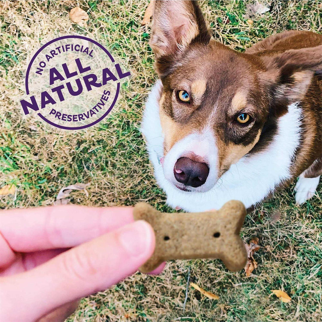 Small Dog Biscuits H418
