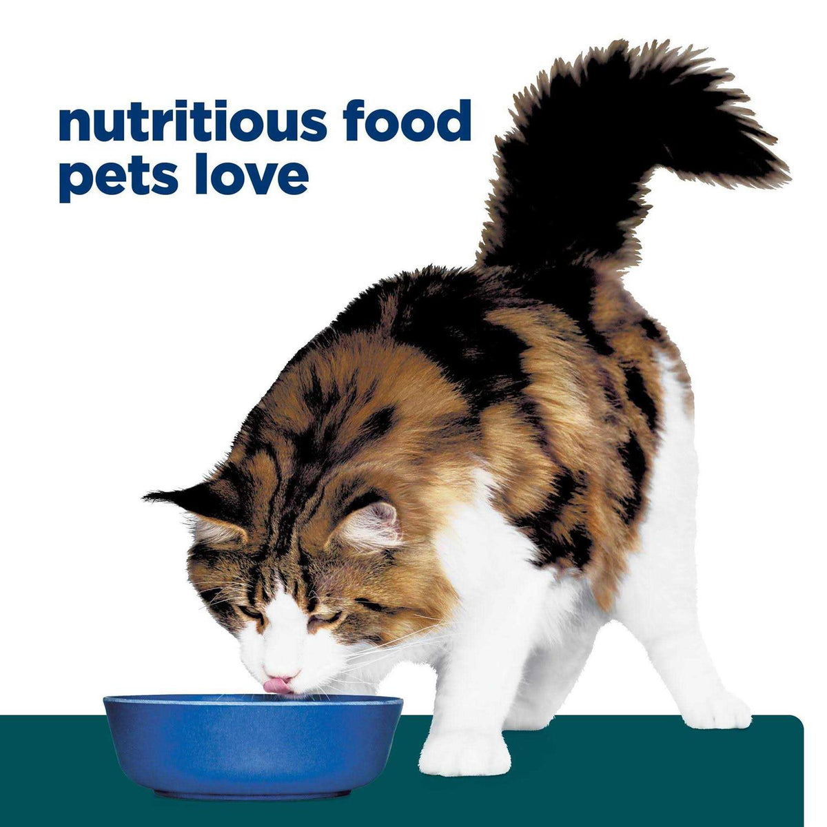 Dry Food H137
