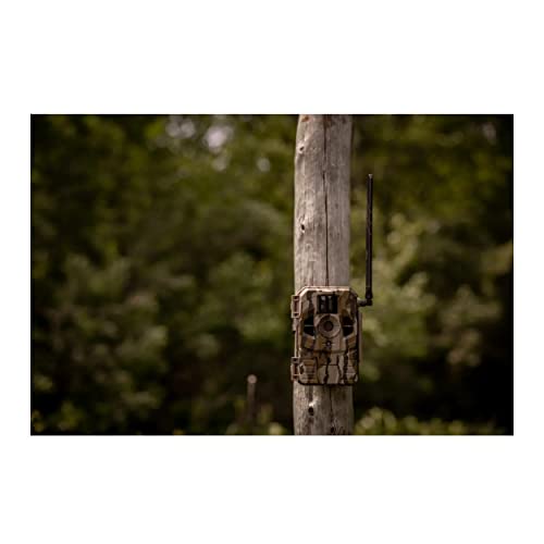 Cellular Trail Camera 2-Pack with 32GB Memory Card and Card Reader F140221