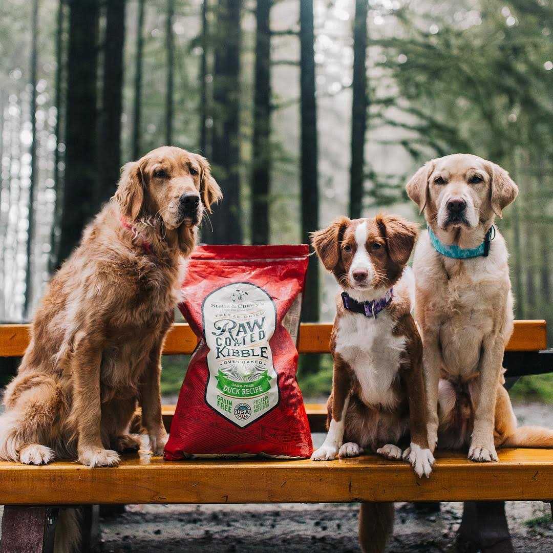 Duck Raw Coated Kibble Dog Food H354665