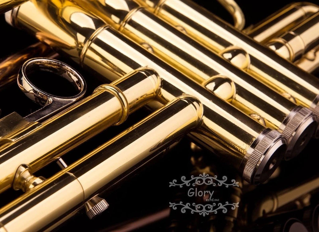 Brass Bb Trumpet with Pro Case and Care Kit U6168