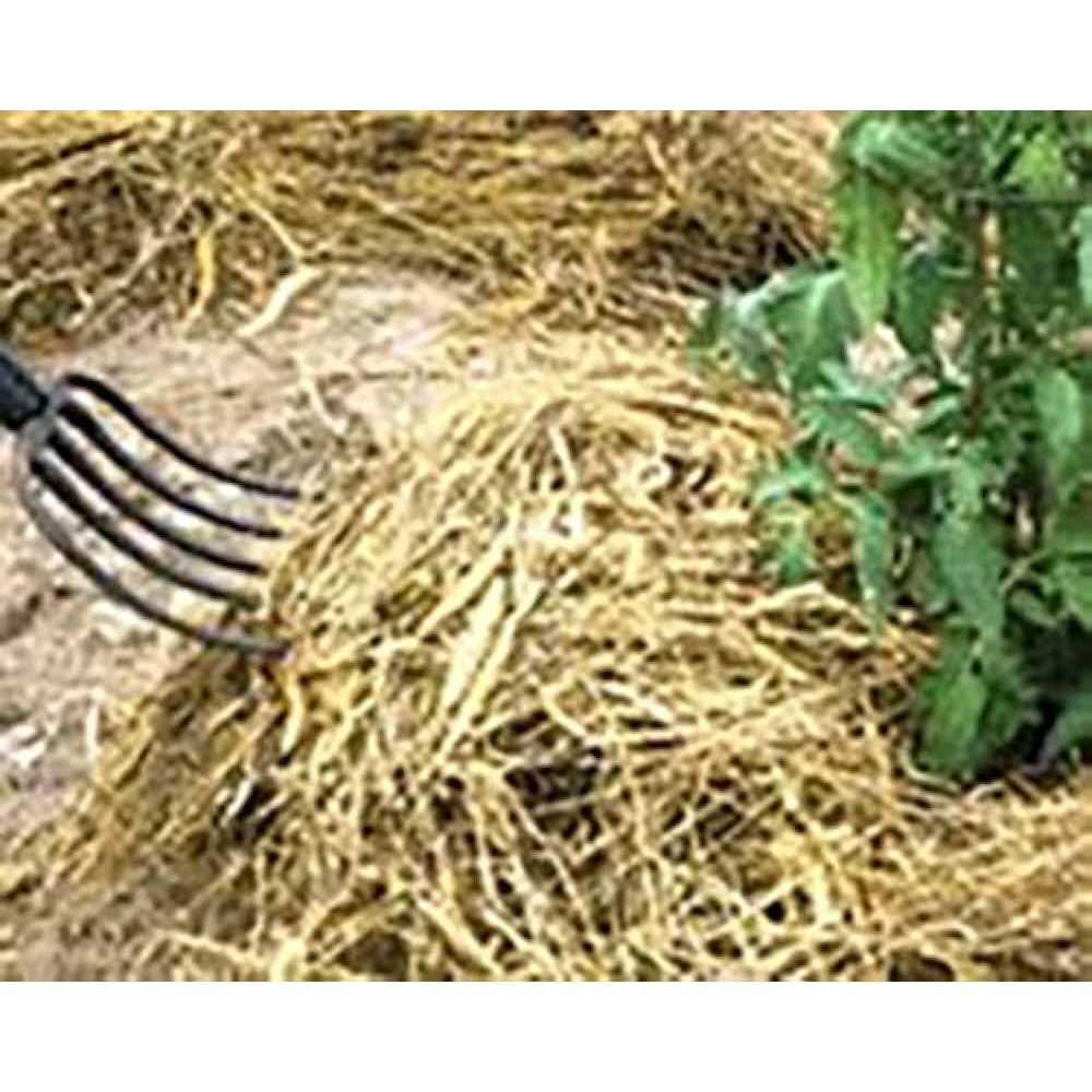 Straw Bale X16766