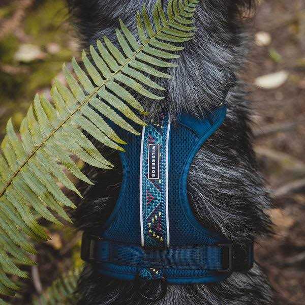 Dog Harness Z195869