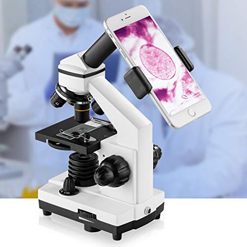100X-2000X Compound Microscope with Microscope Slides C61885