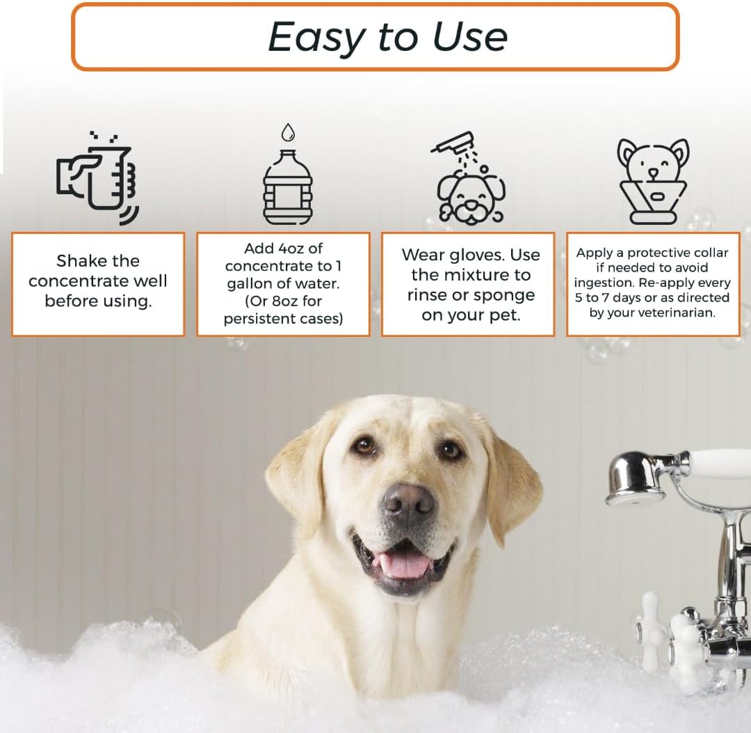 Lime Sulfur Dip and Sulfur Salicylic Acid Dog Shampoo - 1 Gallon Each W33877