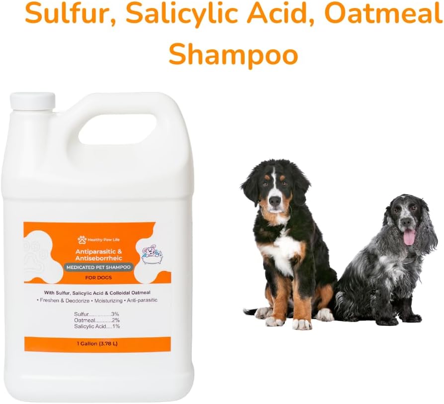 Lime Sulfur Dip and Sulfur Salicylic Acid Dog Shampoo - 1 Gallon Each W33877