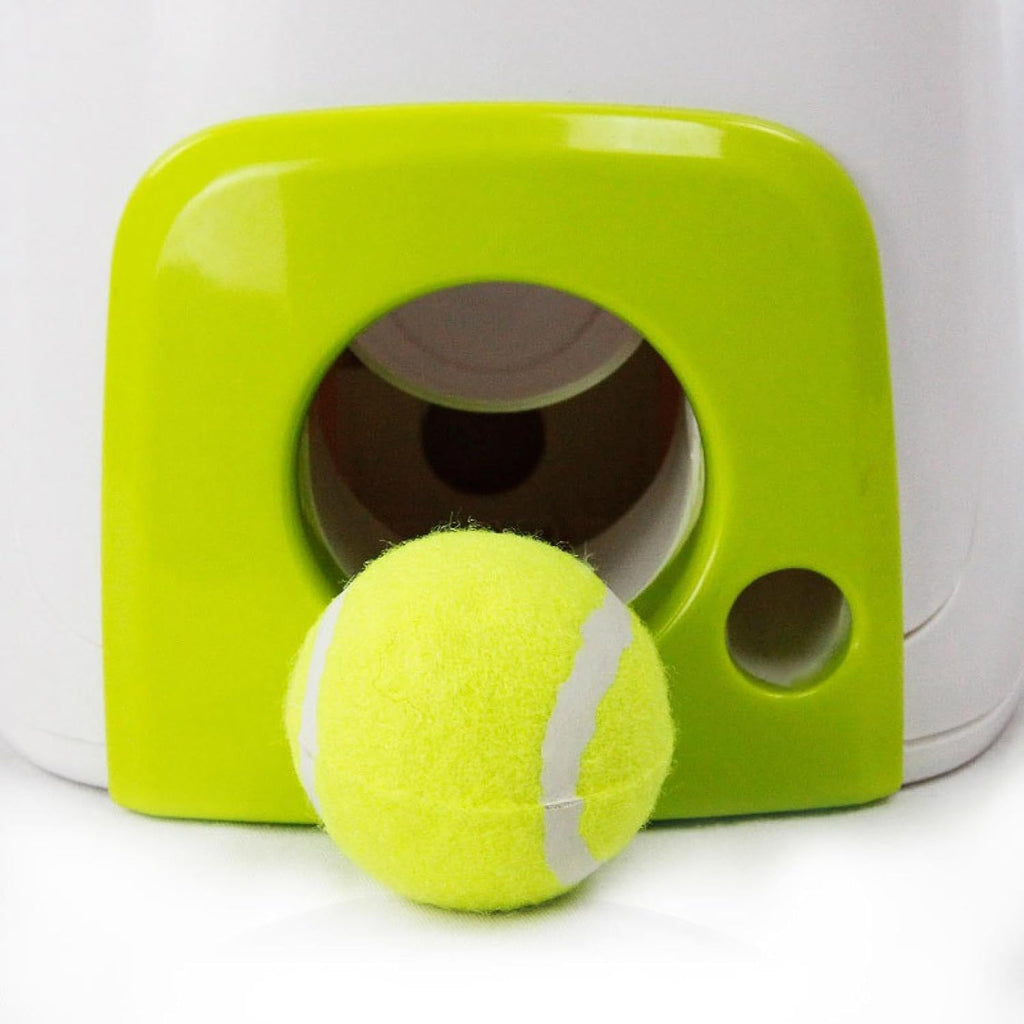 Interactive Slow Feeding Dog Toy K534321