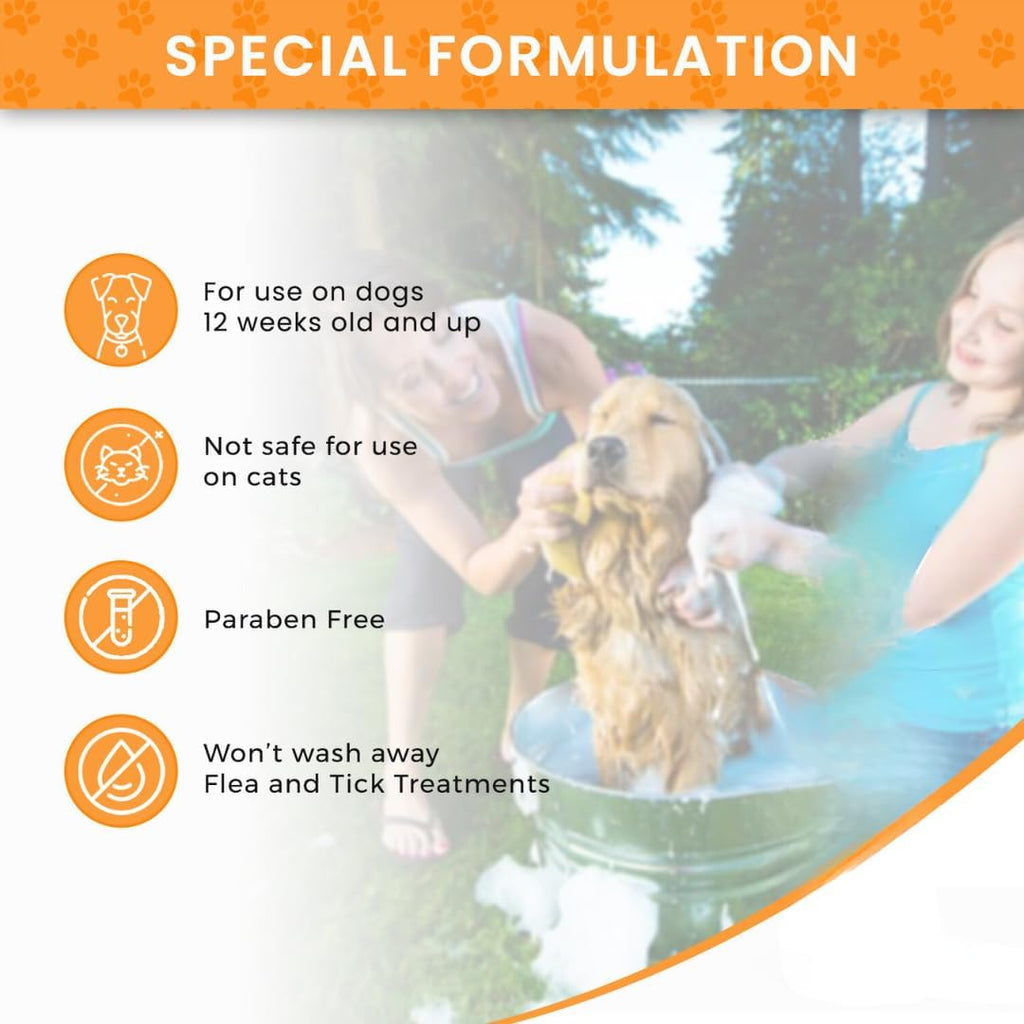 Lime Sulfur Dip and Sulfur Salicylic Acid Dog Shampoo - 1 Gallon Each W33877