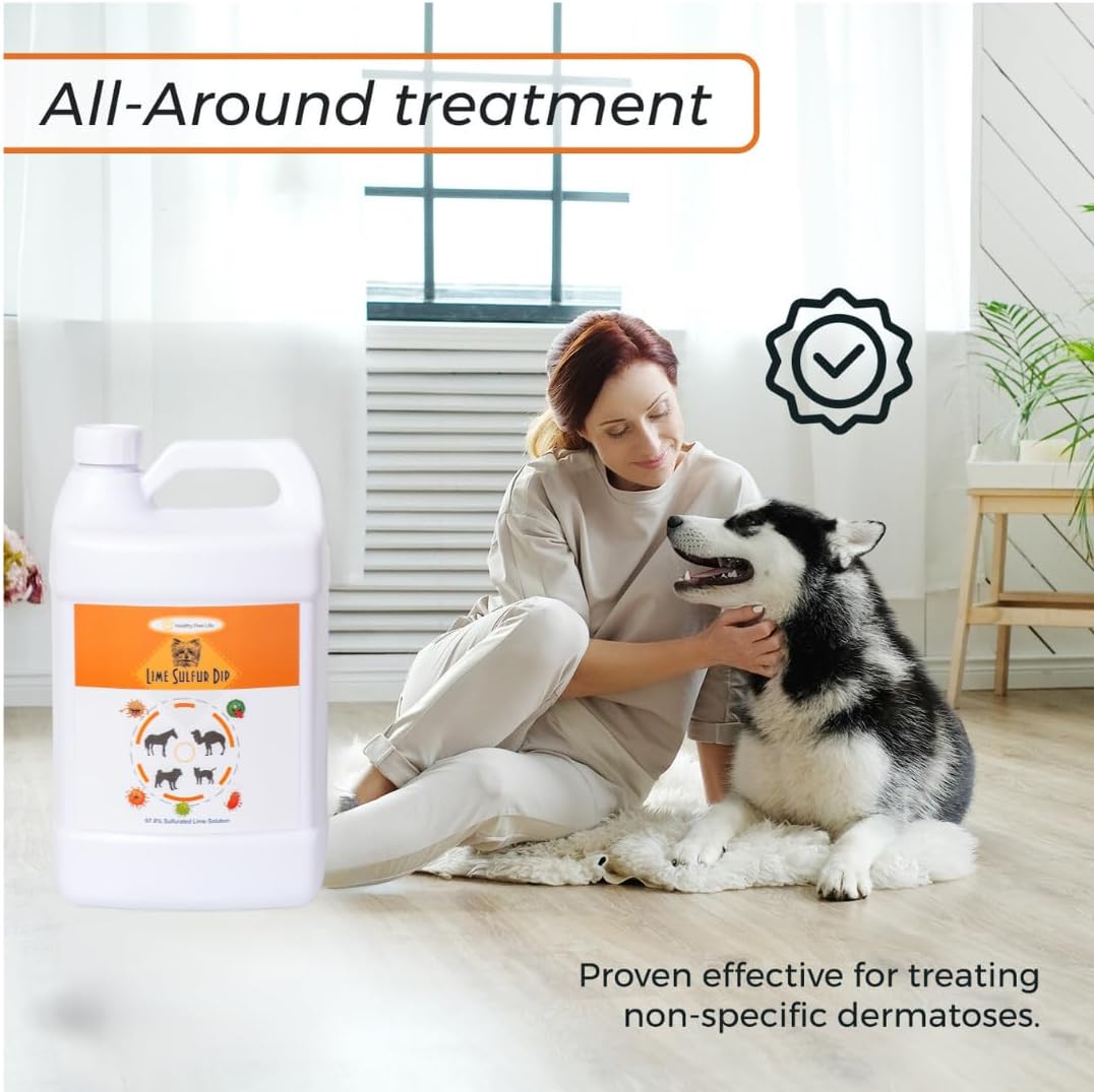 Lime Sulfur Dip and Sulfur Salicylic Acid Dog Shampoo - 1 Gallon Each W33877