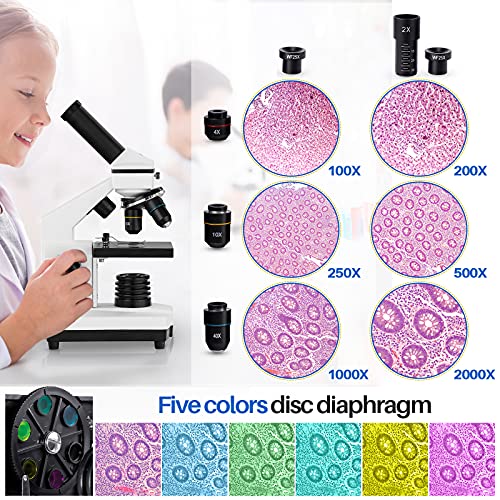 100X-2000X Compound Microscope with Microscope Slides C61885