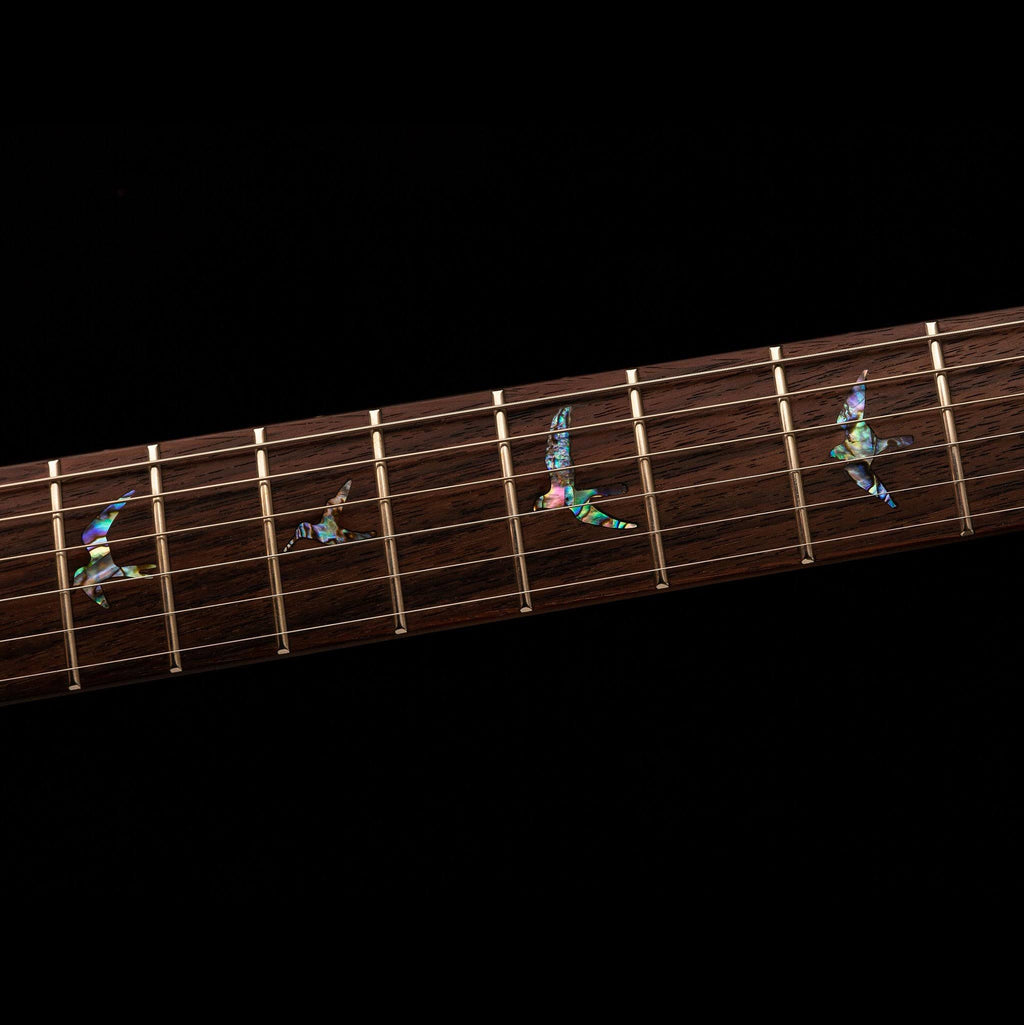 Black Gold Burst Electric Guitar A1177
