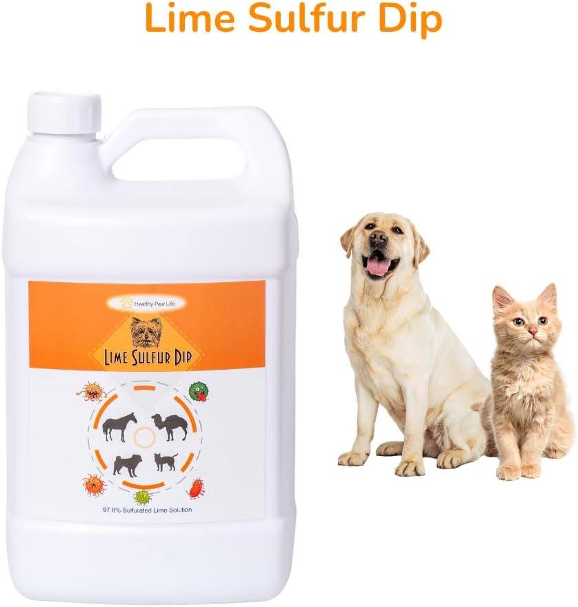 Lime Sulfur Dip and Sulfur Salicylic Acid Dog Shampoo - 1 Gallon Each W33877