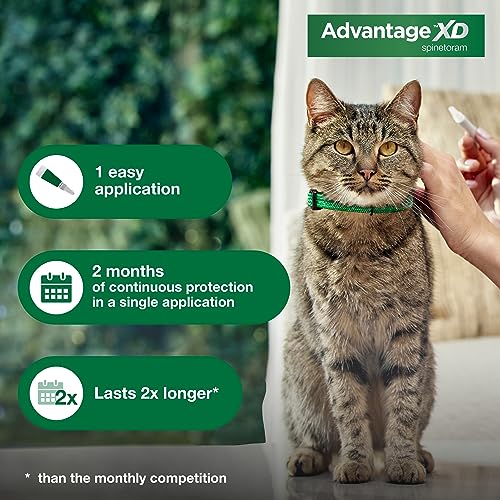 Large Cat Flea Prevention Treatment, 4 Topical Doses G718654