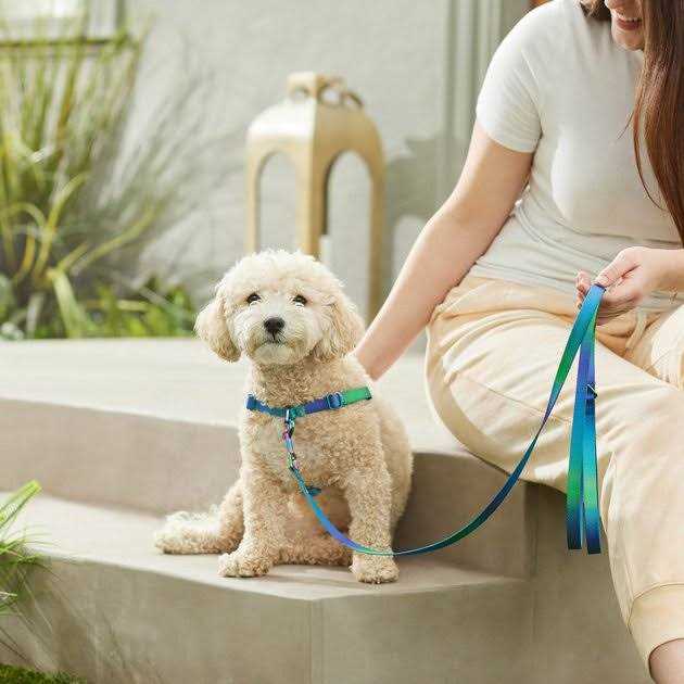 Ombre Dog Leash Z998