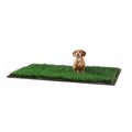 Dog Potty Real Grass P122030