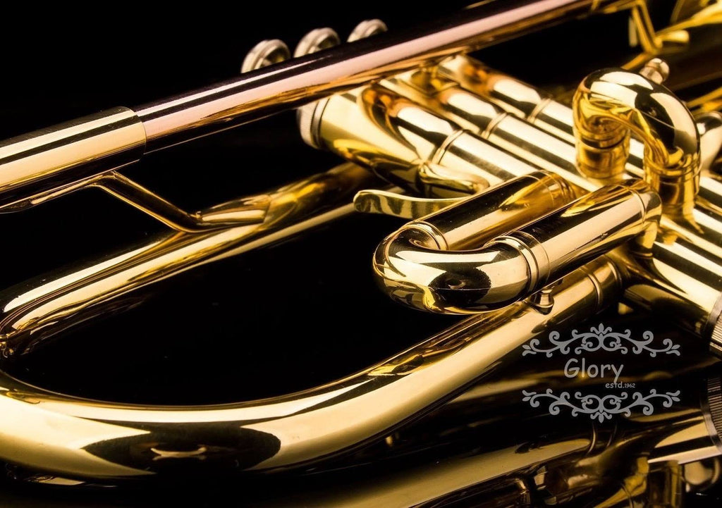 Brass Bb Trumpet with Pro Case and Care Kit U6168