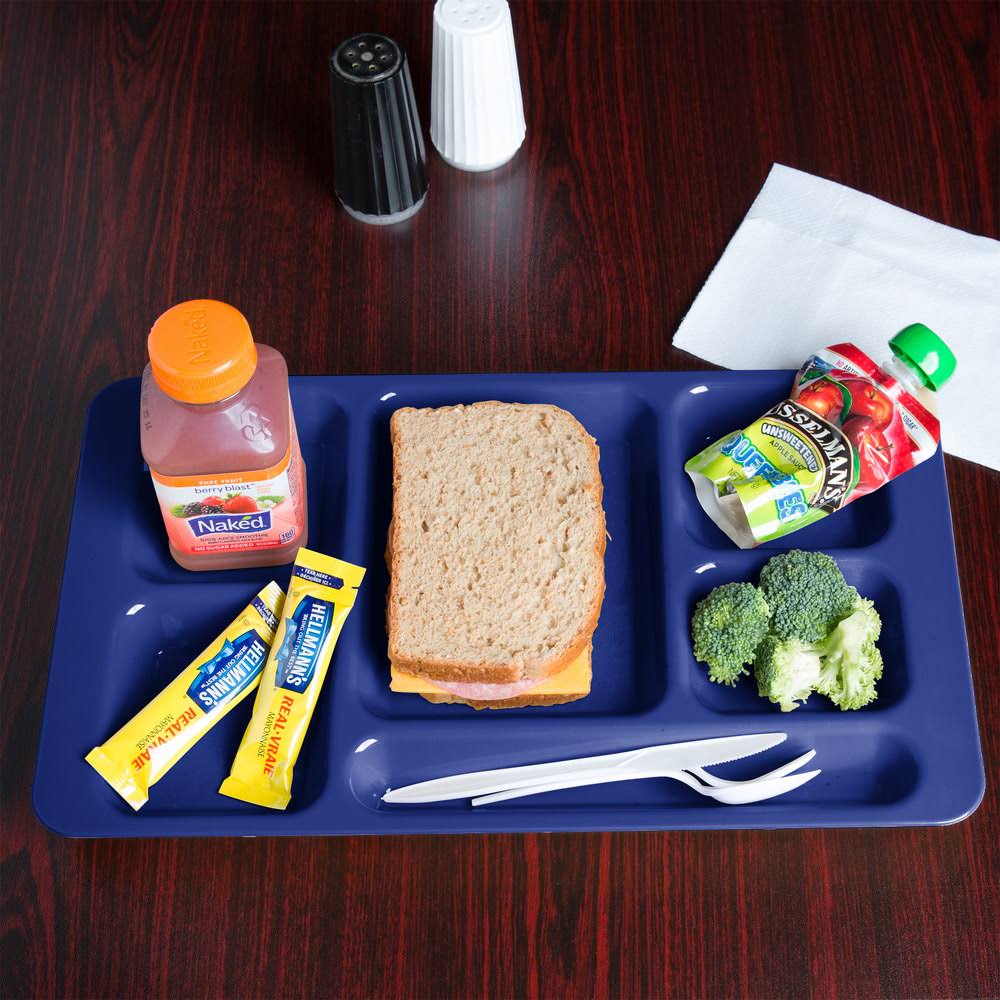Navy Blue Compartment Tray F625
