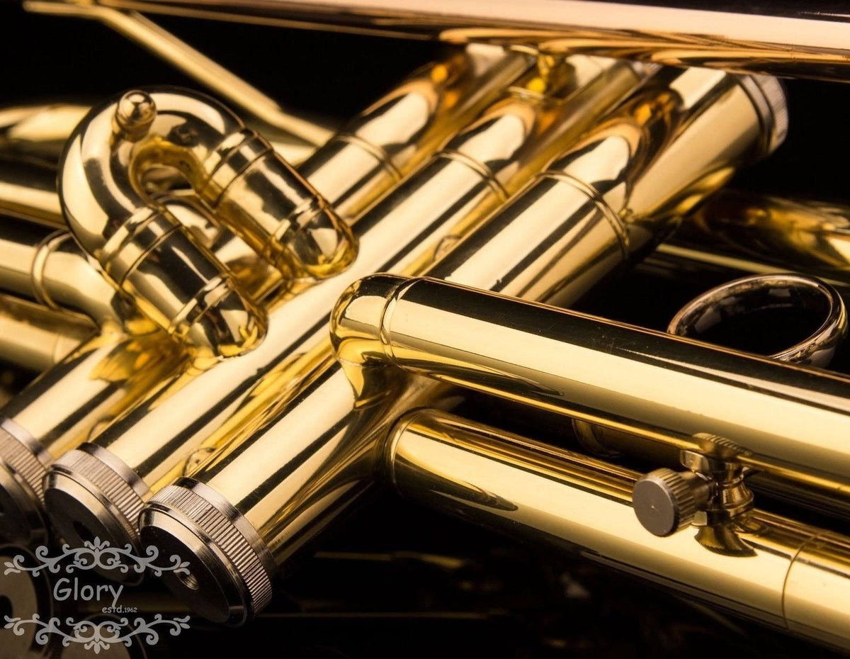 Brass Bb Trumpet with Pro Case and Care Kit U6168