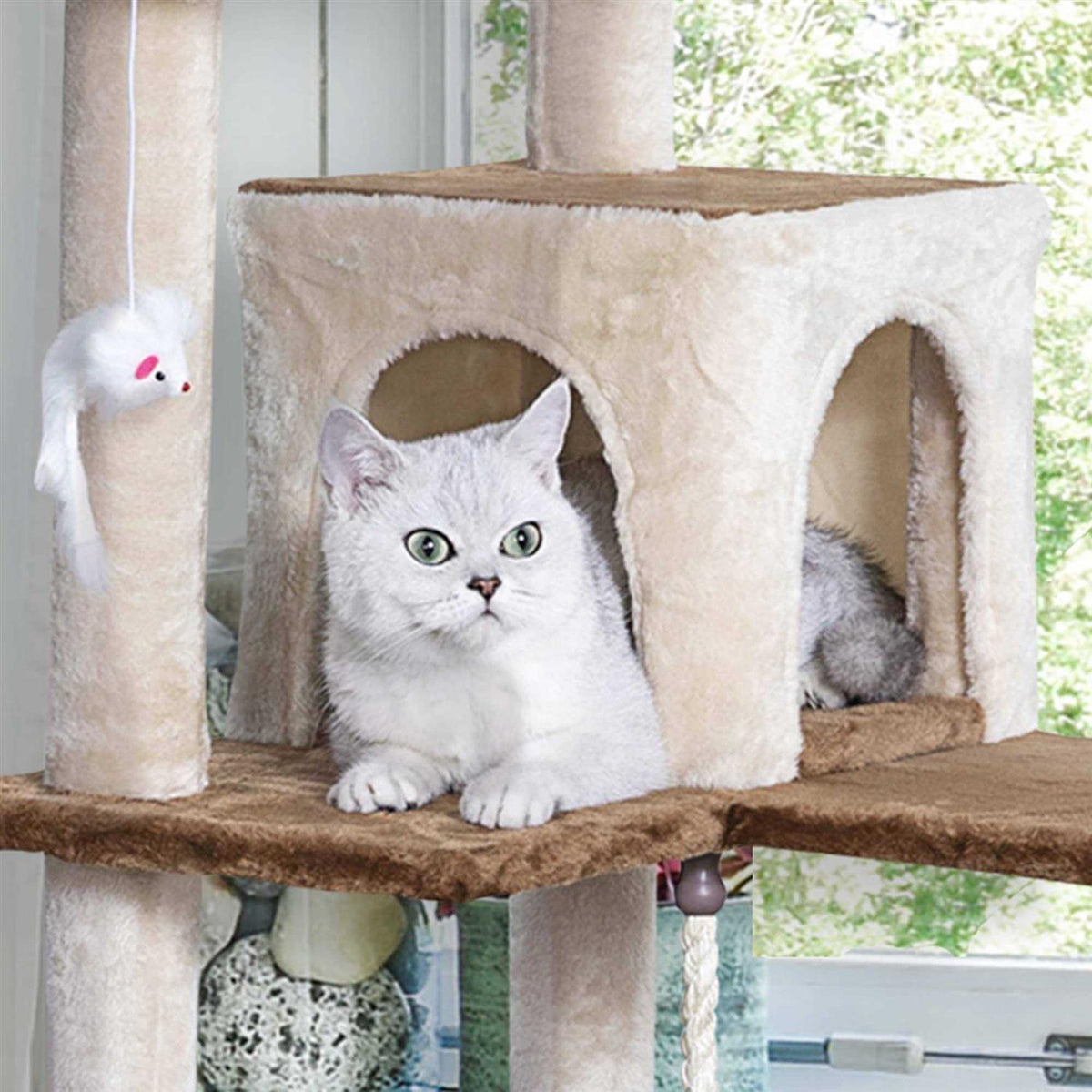 Kitten Cat Tree Condo with Scratching Board E27532