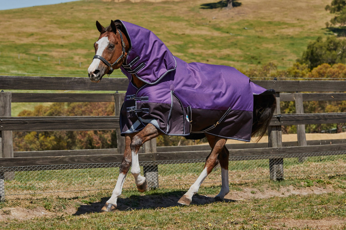 Purple Black Lite Detach-A-Neck P158758
