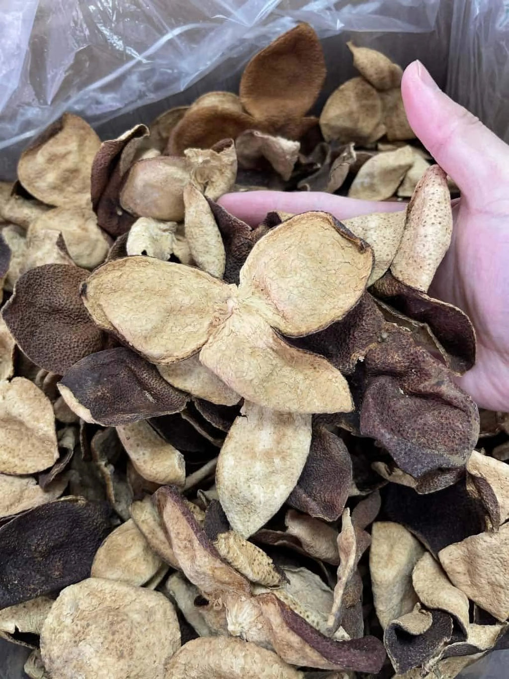 Dried Aged Orange Citrus Peel 200G W905