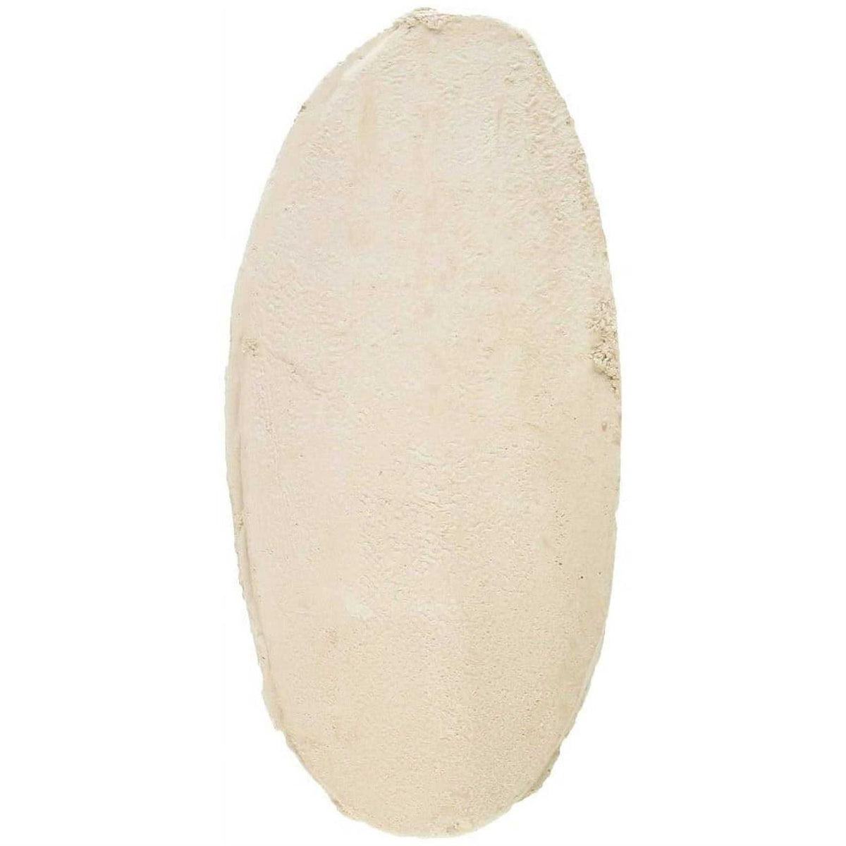 Natural Flavor Cuttlebone M555720
