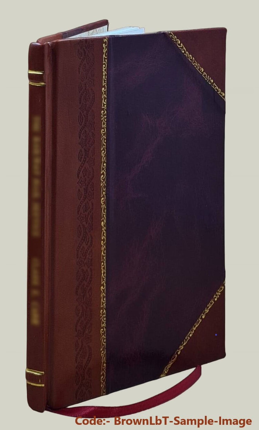 Zanzibar Customs and Religious Beliefs 1920 Leather Bound V55459