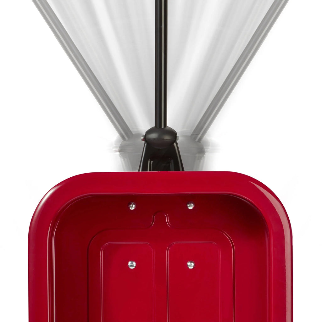 Classic Red Wagon D640787