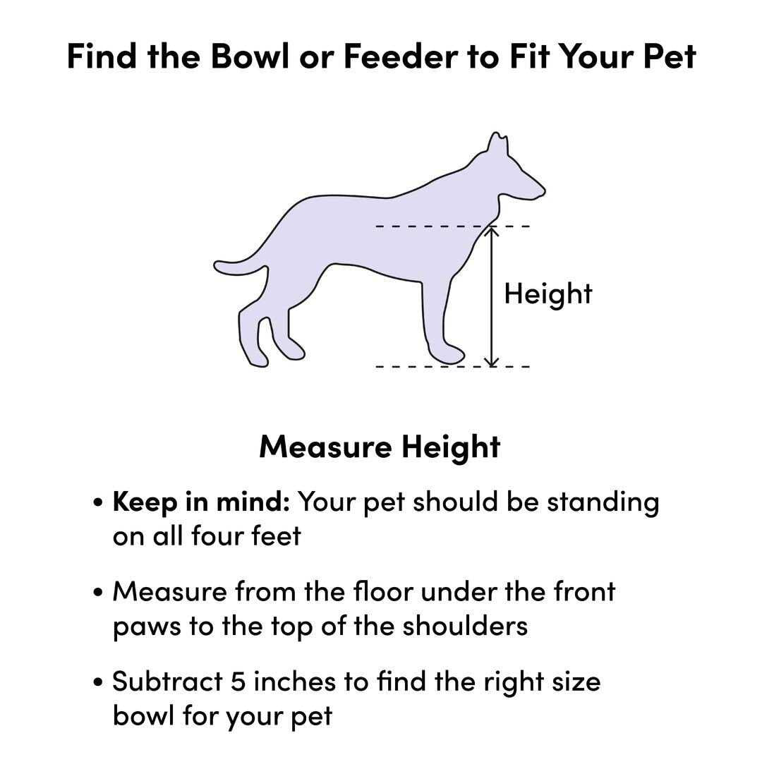 Pet Bowl N12413