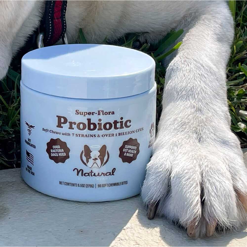 Probiotic Supplement H817
