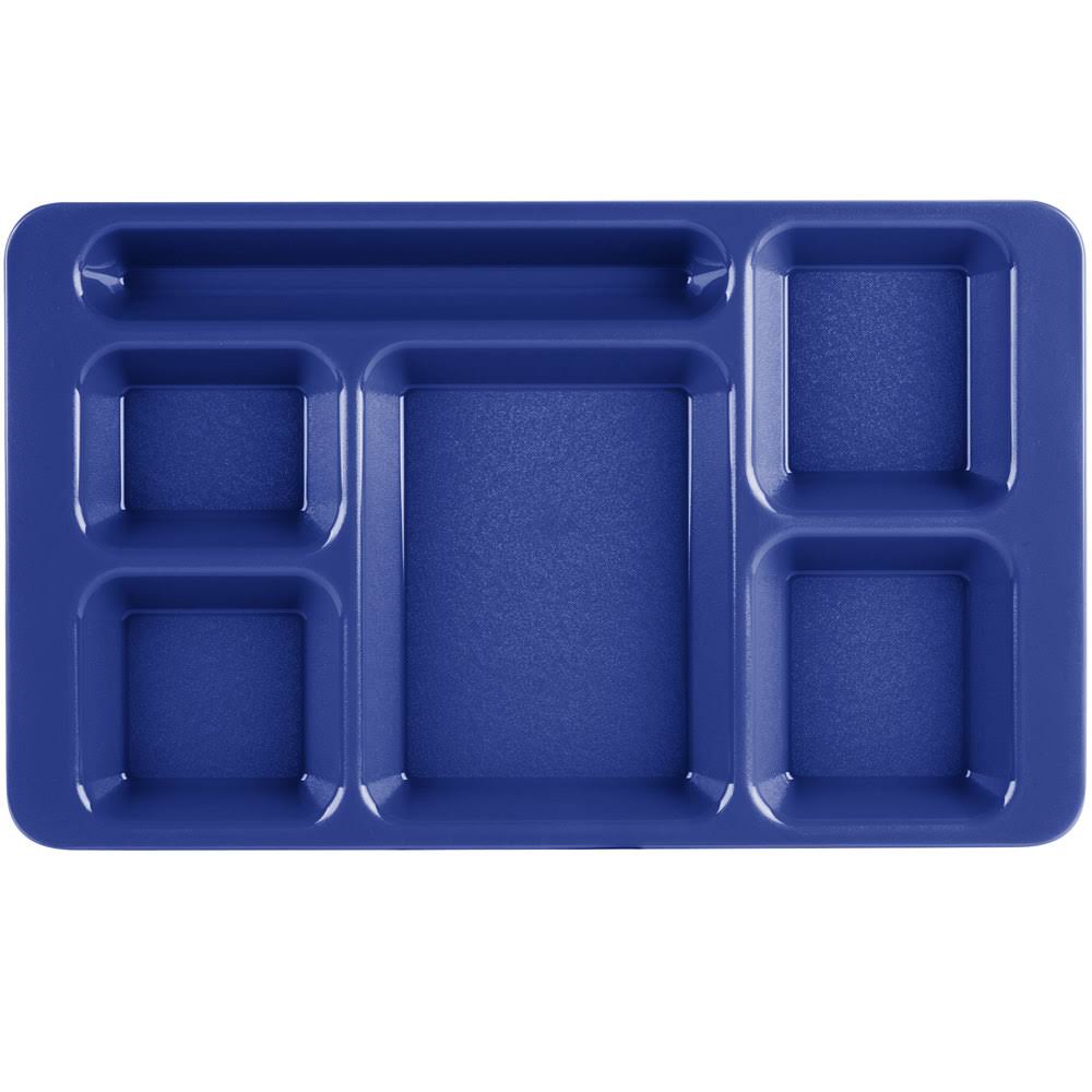 Navy Blue Compartment Tray F625