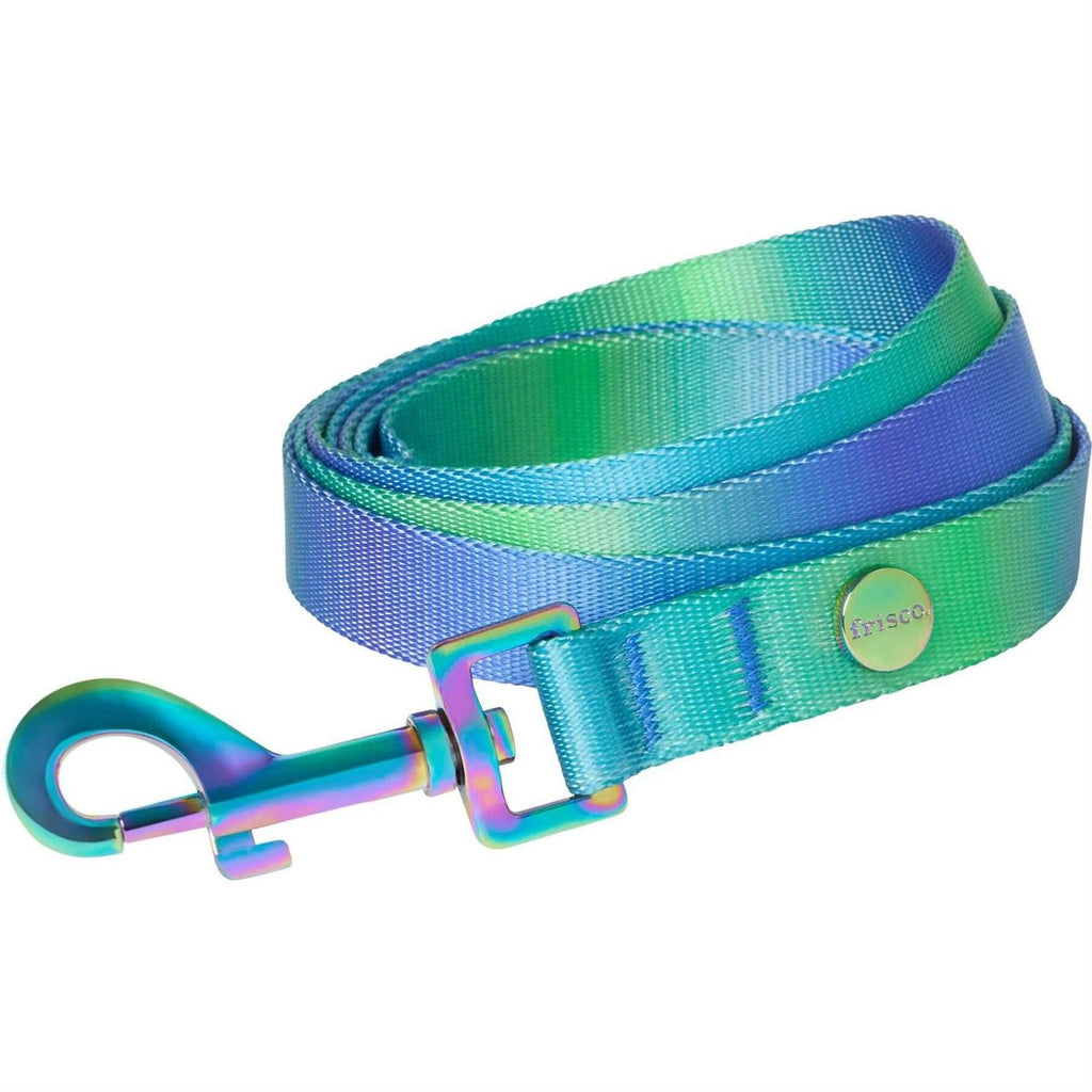 Ombre Dog Leash Z998