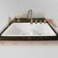 33x22 Double Basin Drop in Cast Iron Kitchen Sink W9489