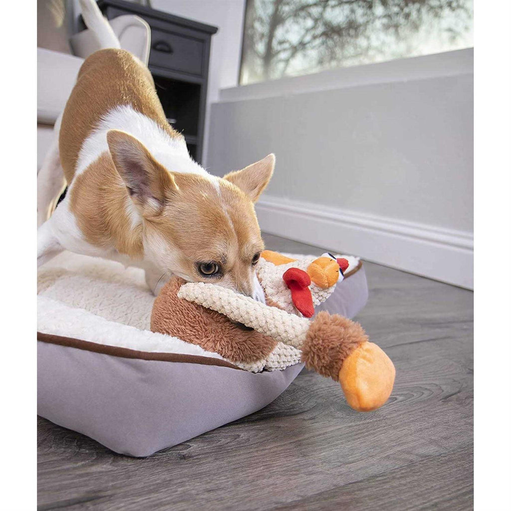 Skinny Rooster Dog Toy O7375