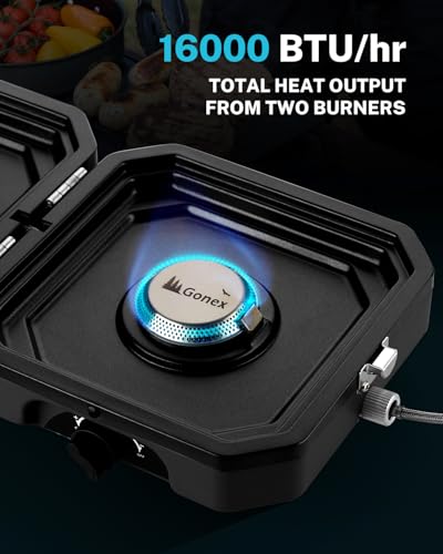 2 Burner Propane Camping Stove with Griddle & Grates Q971