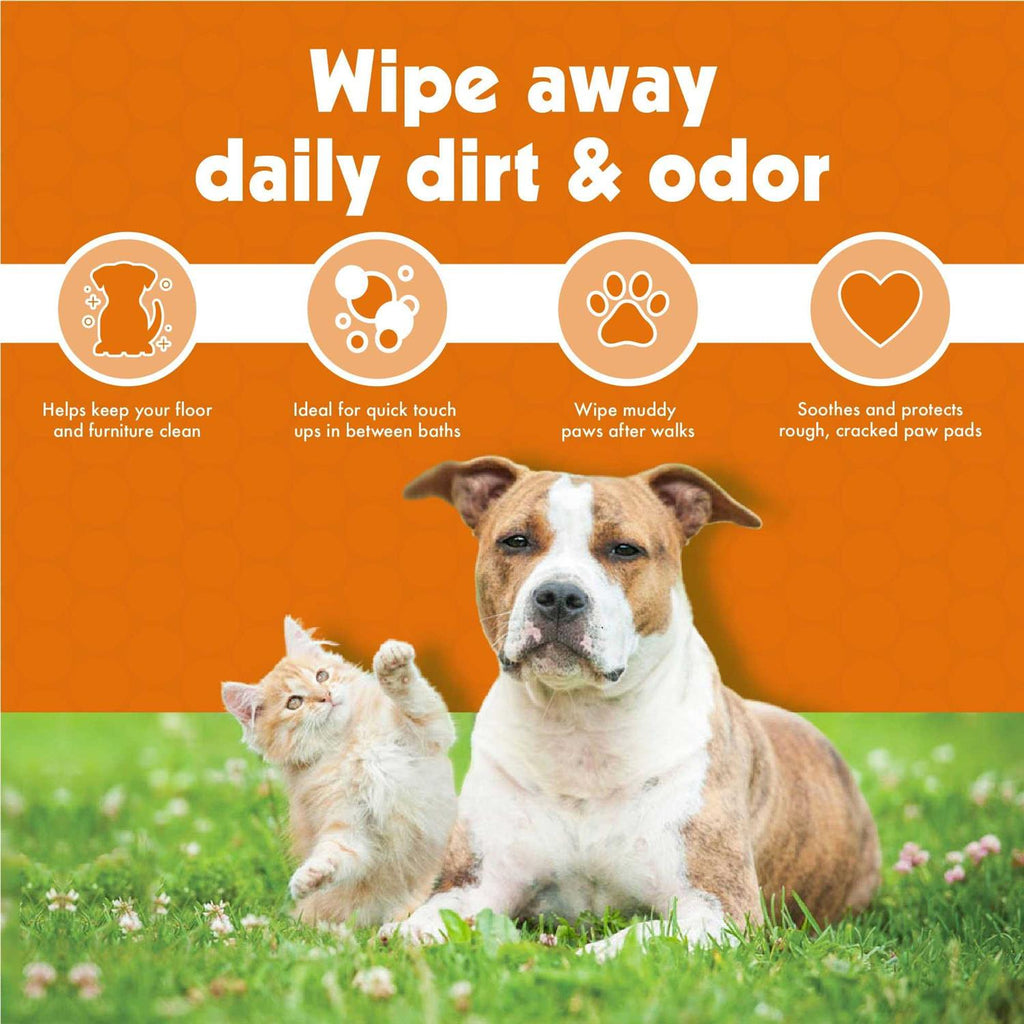 Pet Wipes 100 Y54342