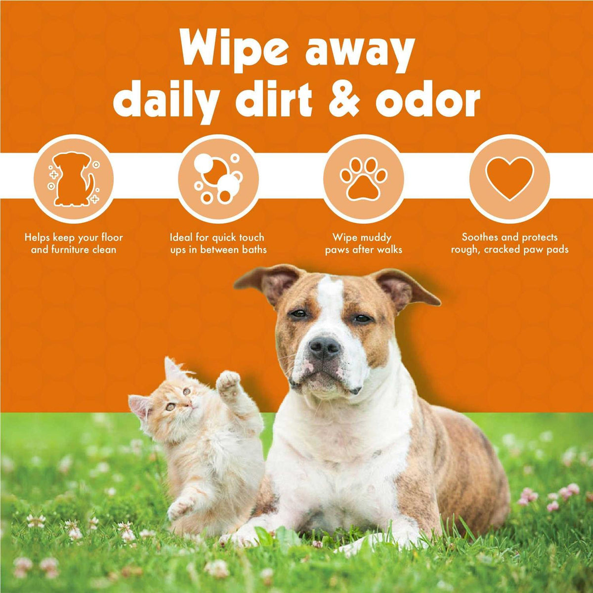 Pet Wipes 100 Y54342
