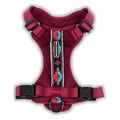 Dog Harness Z195869