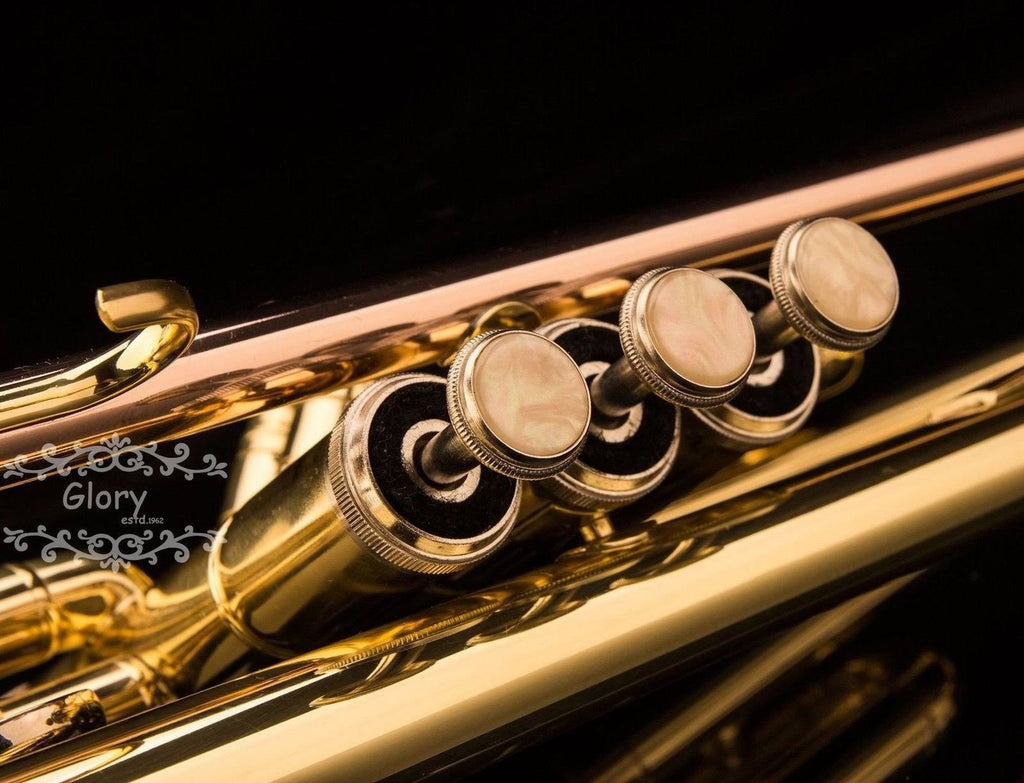 Brass Bb Trumpet with Pro Case and Care Kit U6168