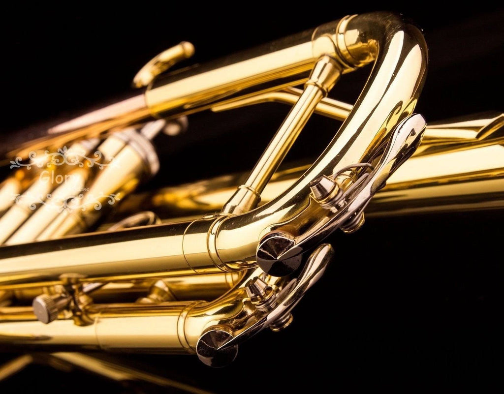 Brass Bb Trumpet with Pro Case and Care Kit U6168