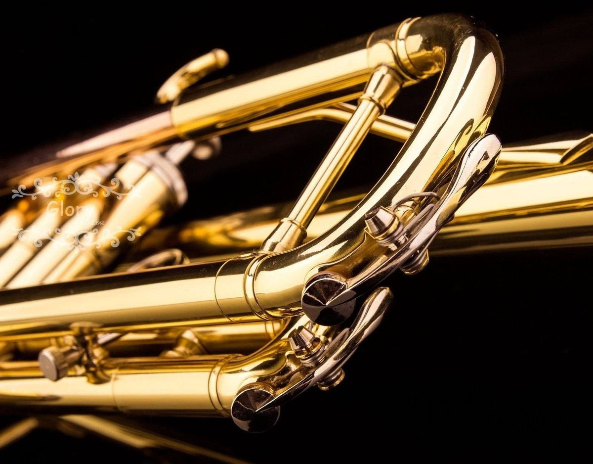 Brass Bb Trumpet with Pro Case and Care Kit U6168