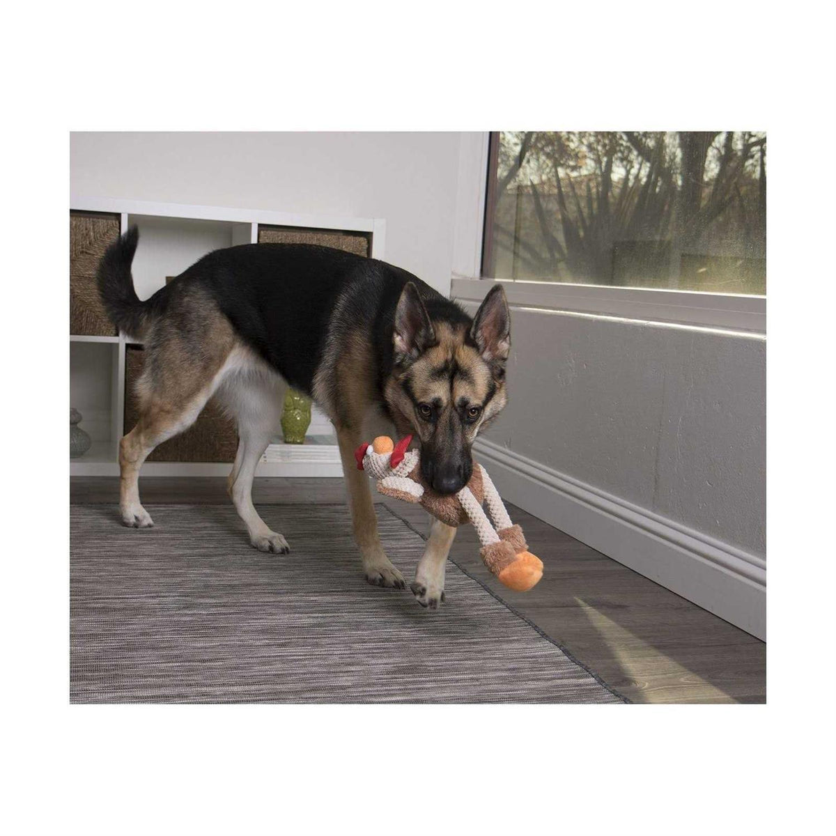 Skinny Rooster Dog Toy O7375